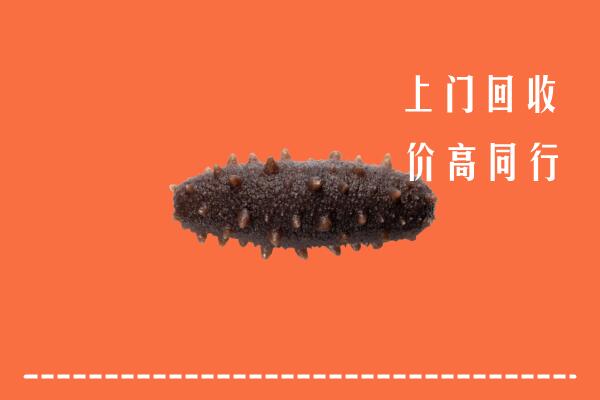 高价求购：揭阳普宁回收海参