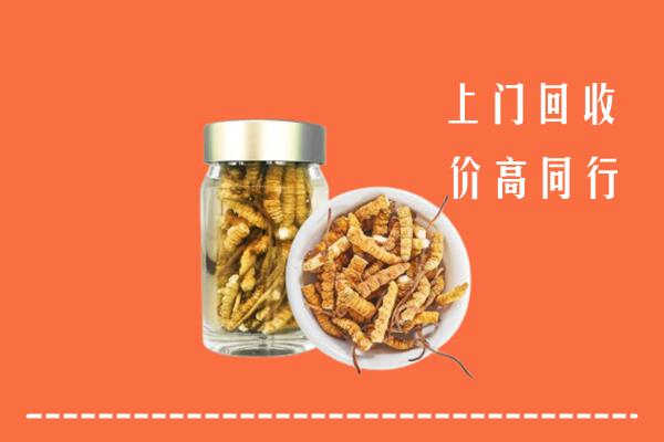 揭阳普宁回收冬虫夏草