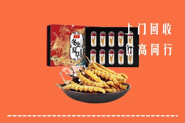 揭阳普宁回收虫草